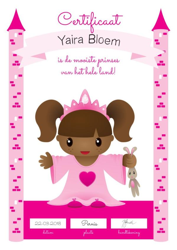 Roze prinses certificaat diplomashop