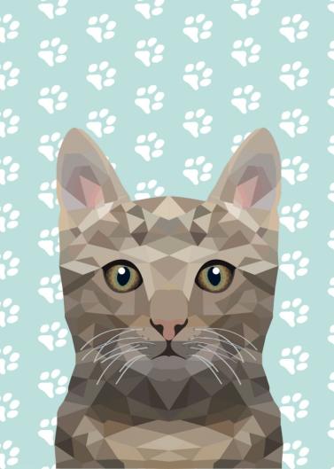 Diploma met pootjesafdruk en afbeelding kat