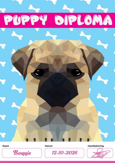 Puppy diploma bij diplomashop