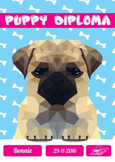 Diploma voor de mijlpaal van een puppy